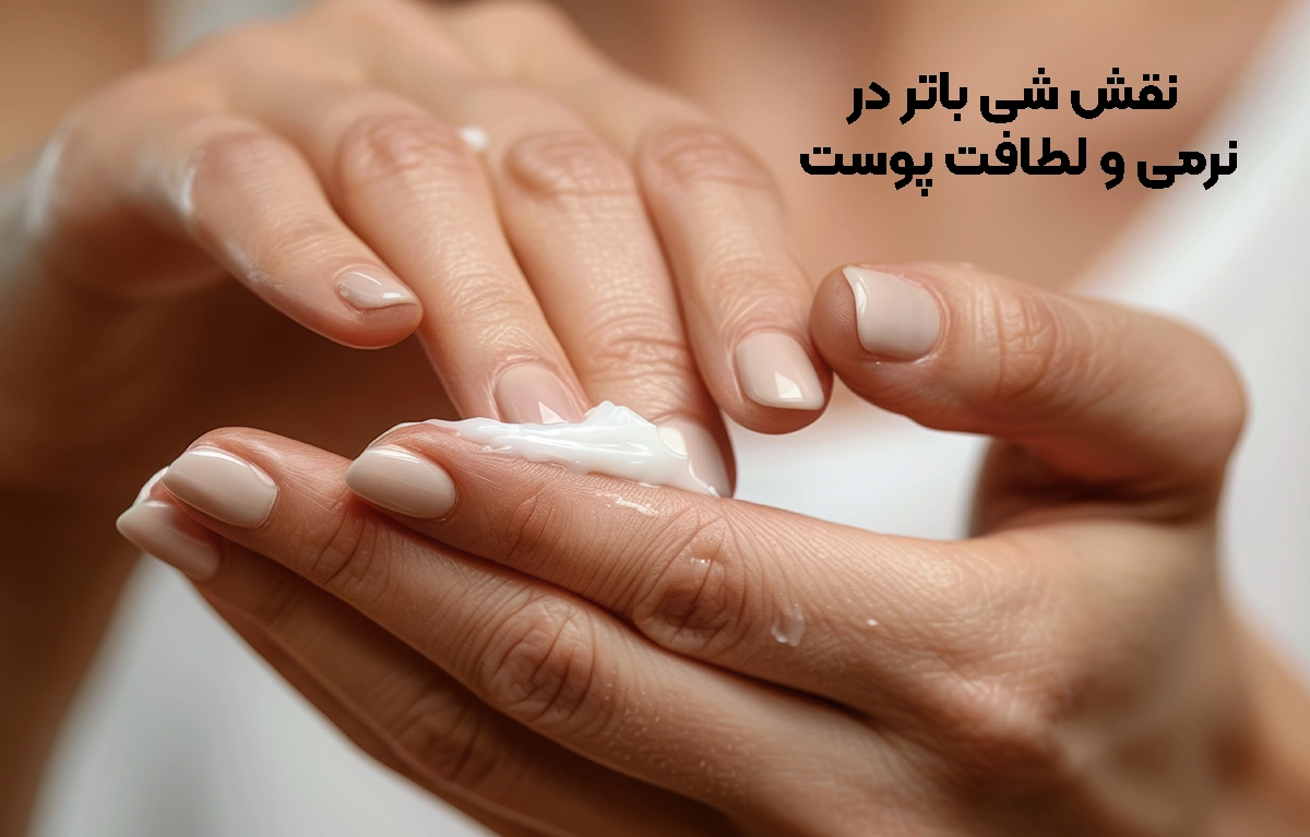 نقش شی باتر در نرمی و لطافت
